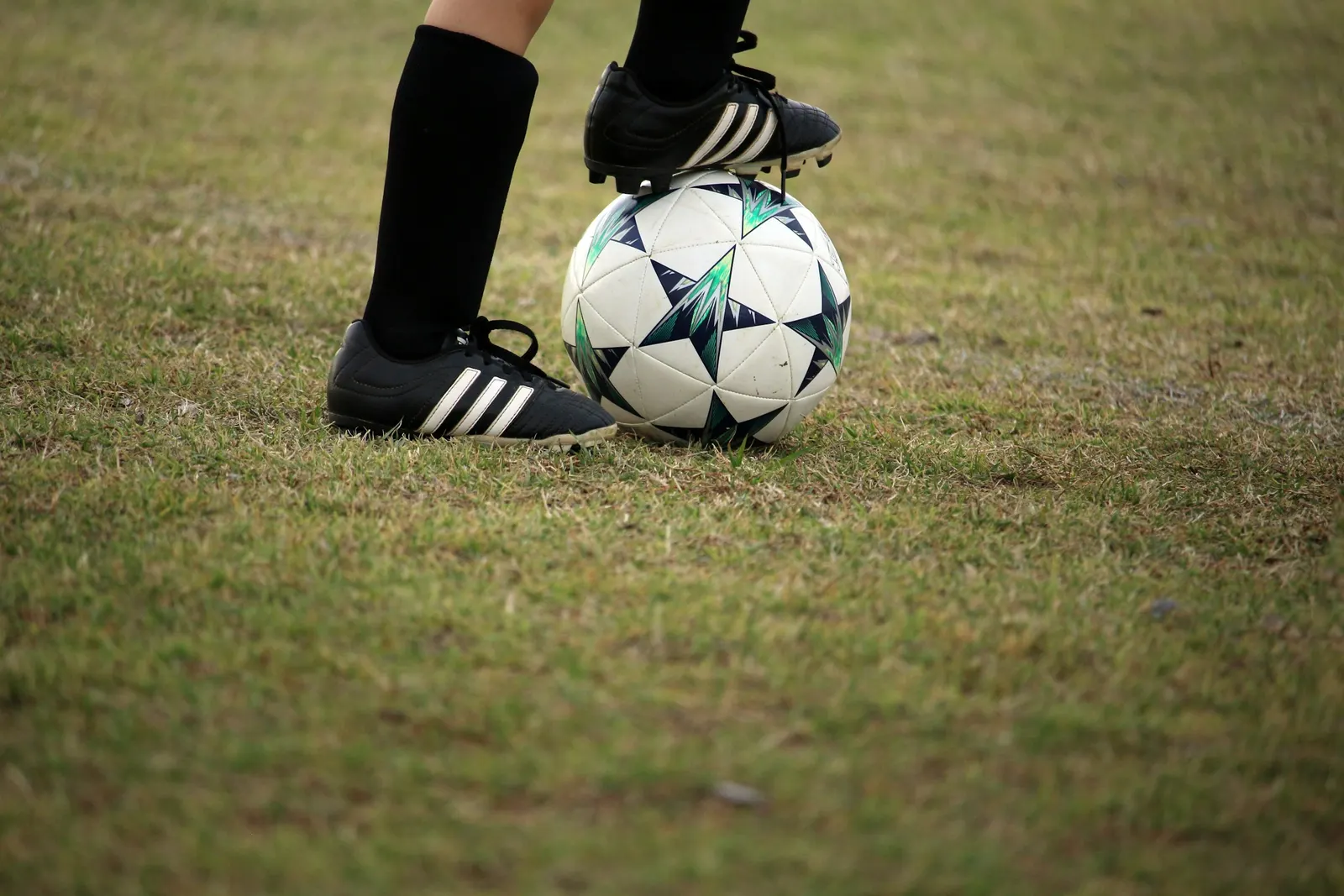 How talent recruitment works in sports