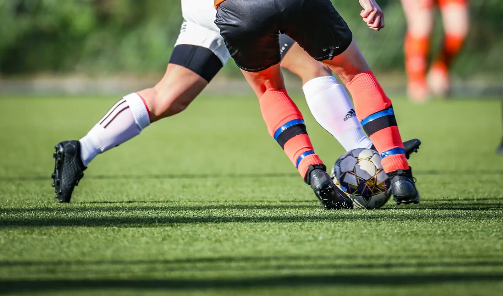 Scout, talent scout and sports director: roles and differences